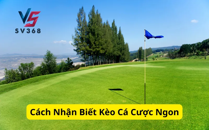 Cách Nhận Biết Kèo Cá Cược Ngon