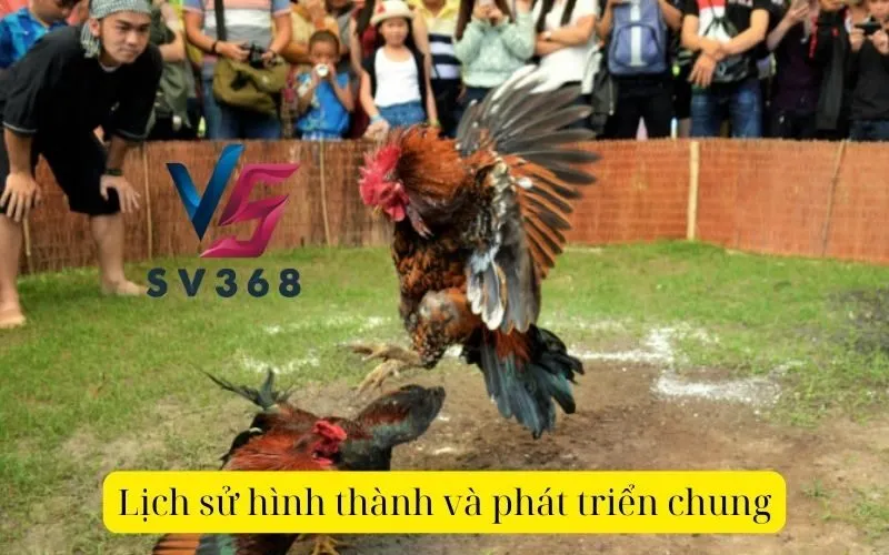 Lịch sử hình thành và phát triển chung