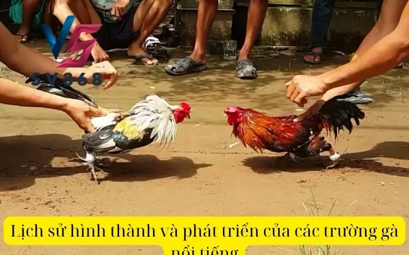 Lịch sử hình thành và phát triển của các trường gà nổi tiếng