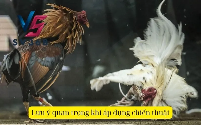 Lưu ý quan trọng khi áp dụng chiến thuật