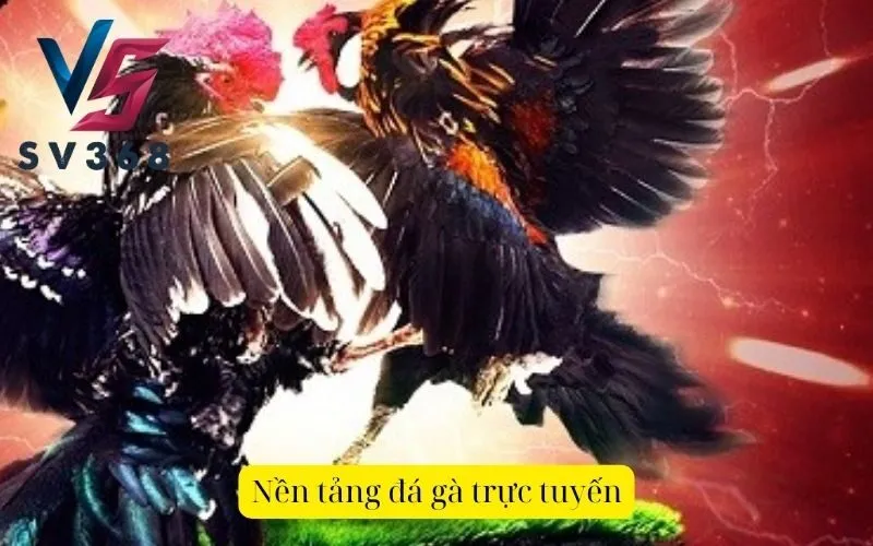 Nền tảng đá gà trực tuyến