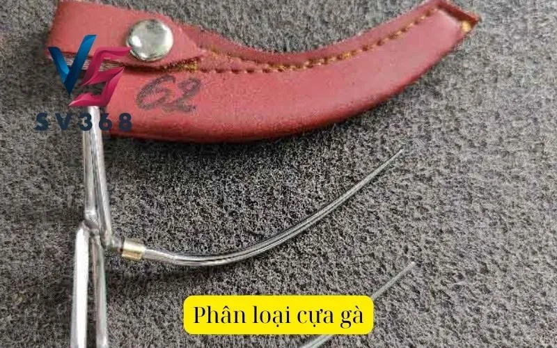 Phân loại cựa gà