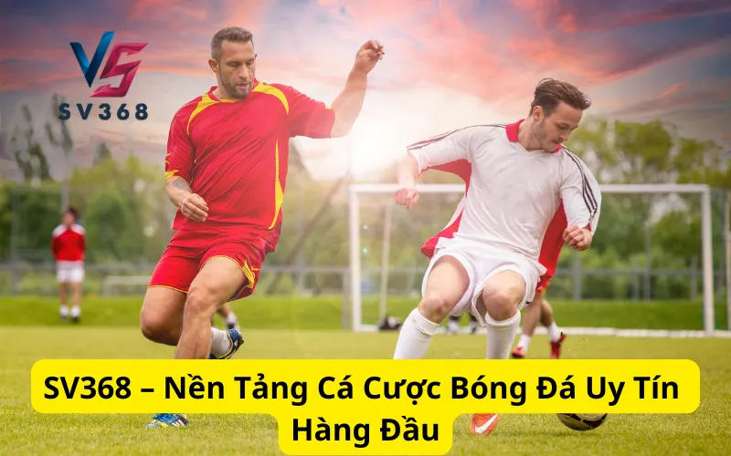 SV368 – Nền Tảng Cá Cược Bóng Đá Uy Tín Hàng Đầu