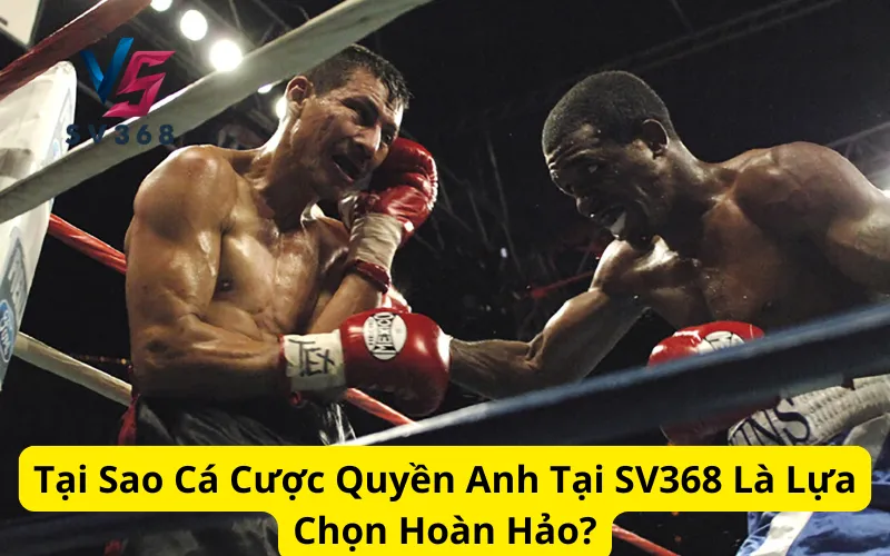 Tại Sao Cá Cược Quyền Anh Tại SV368 Là Lựa Chọn Hoàn Hảo?