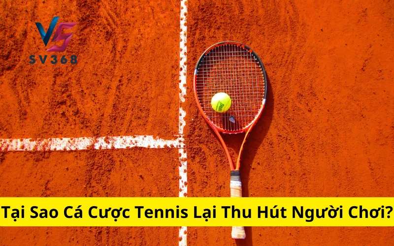 Tại Sao Cá Cược Tennis Lại Thu Hút Người Chơi?