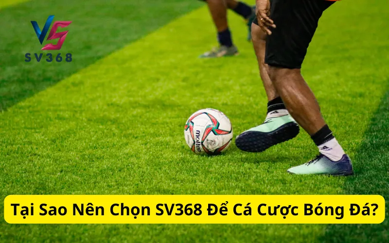 Tại Sao Nên Chọn SV368 Để Cá Cược Bóng Đá?