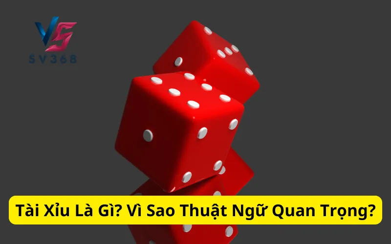 Tài Xỉu Là Gì? Vì Sao Thuật Ngữ Quan Trọng?