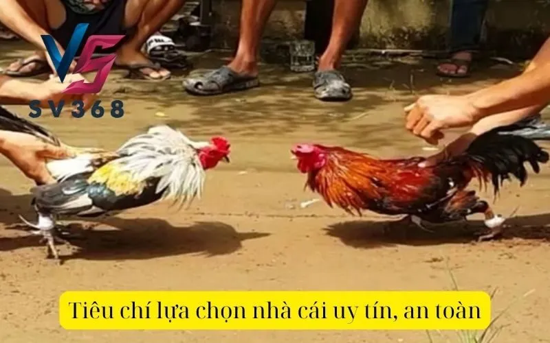 Tiêu chí lựa chọn nhà cái uy tín, an toàn