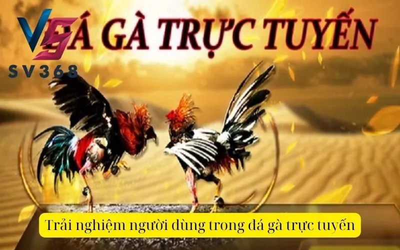 Trải nghiệm người dùng trong đá gà trực tuyến